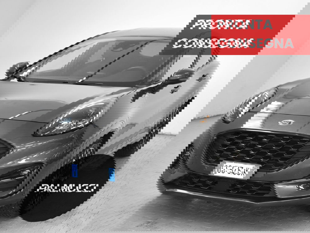 Ford Puma usata a Prato