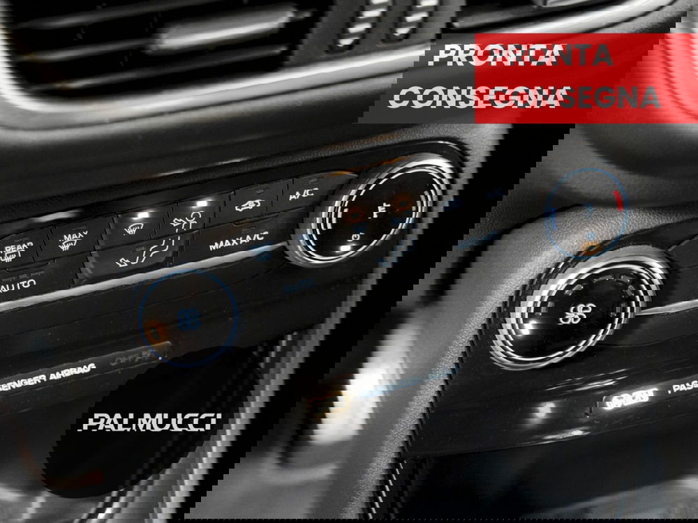 Ford Puma usata a Prato (12)