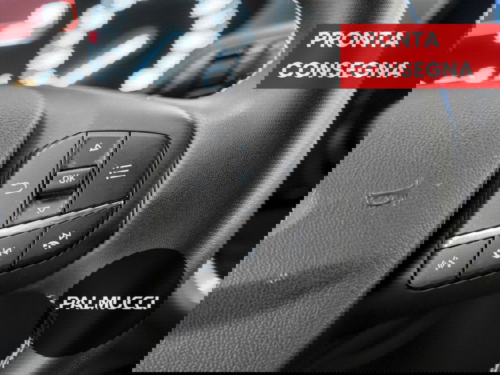 Ford Puma usata a Prato (11)