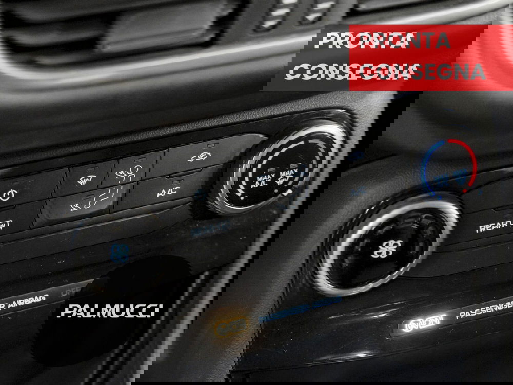 Ford Puma usata a Prato (14)