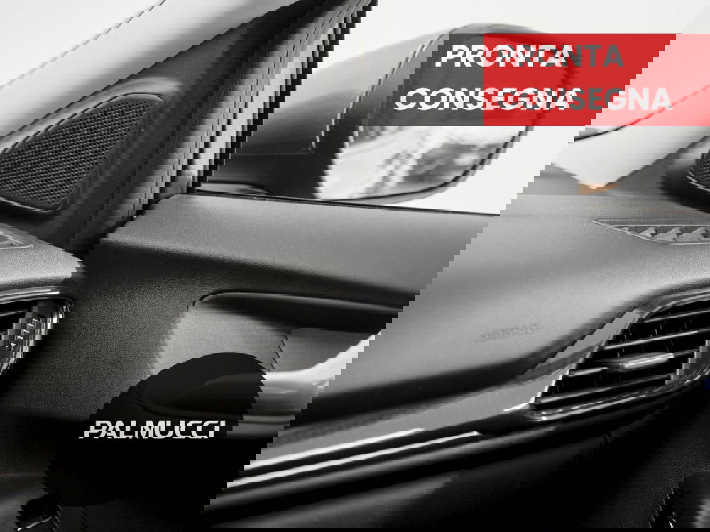 Ford Puma usata a Prato (16)