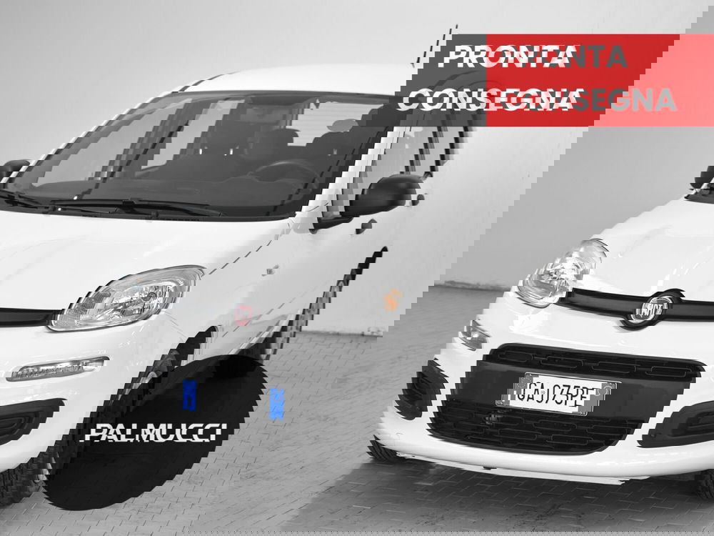 Fiat Panda usata a Prato