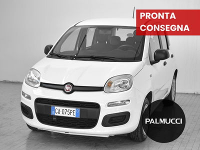 Fiat Panda 1.2 Easy del 2020 usata a Prato