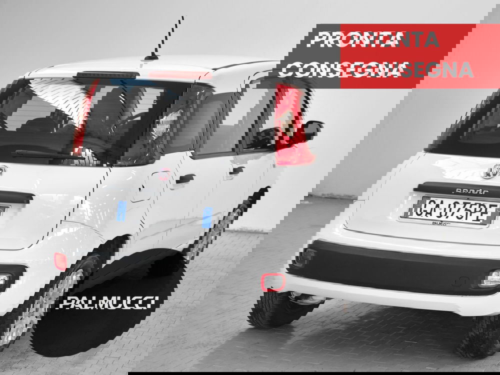 Fiat Panda usata a Prato (3)