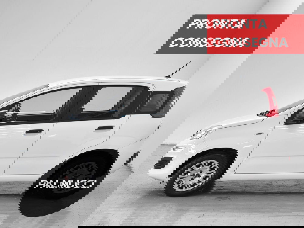 Fiat Panda usata a Prato (4)