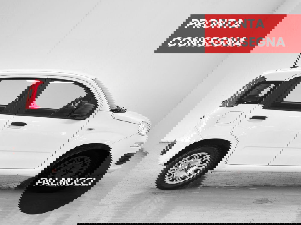 Fiat Panda usata a Prato (5)