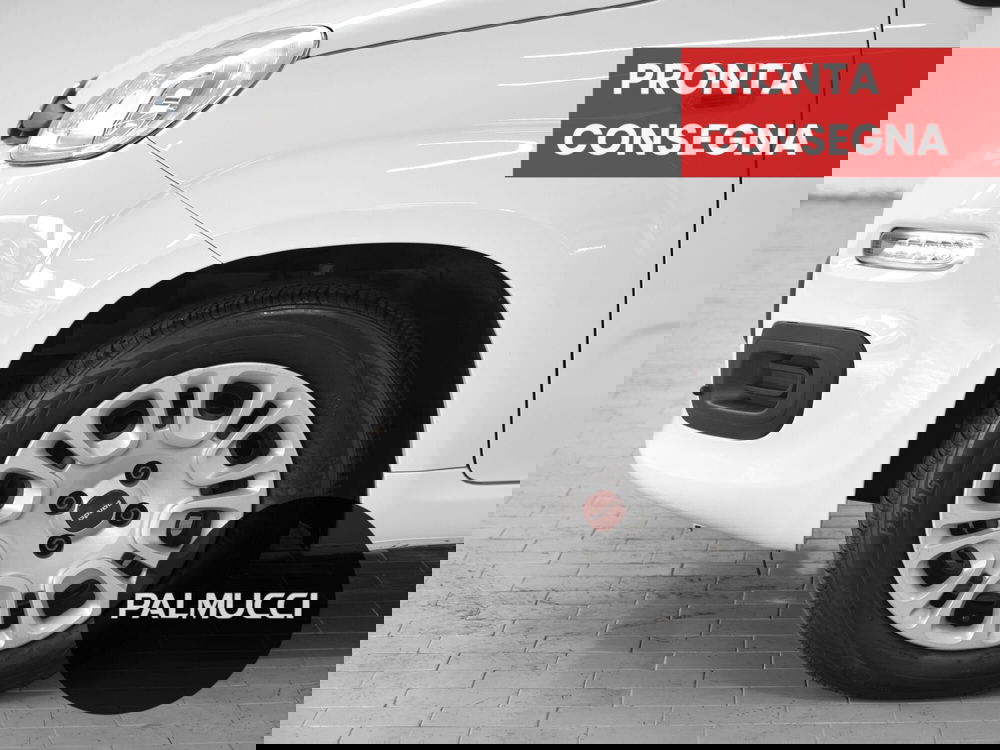 Fiat Panda usata a Prato (6)