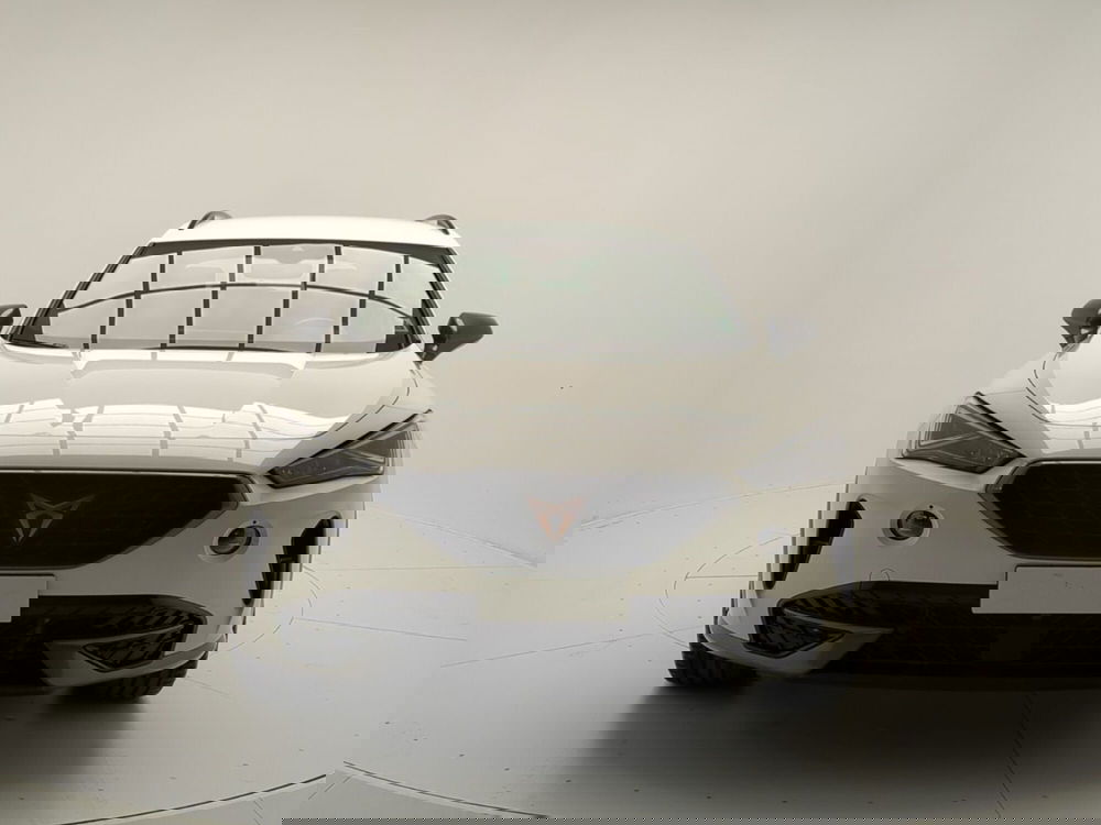 Cupra Formentor usata a Avellino (2)