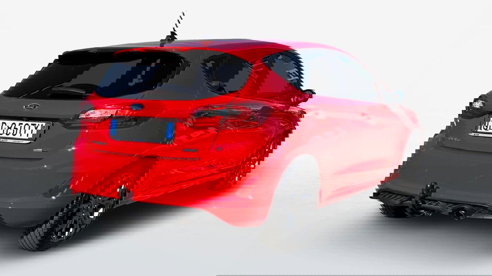 Ford Fiesta usata a Treviso (2)