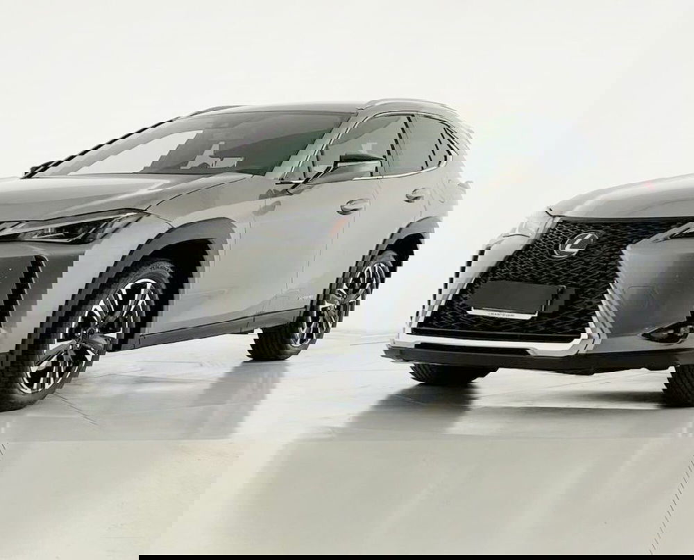 Lexus UX usata a Perugia