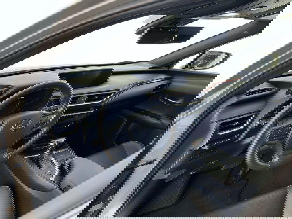 Lexus UX usata a Perugia (15)