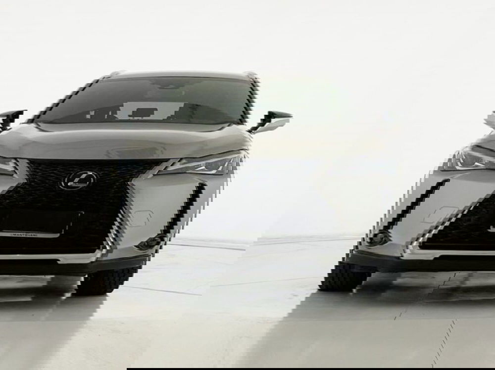 Lexus UX usata a Perugia (2)