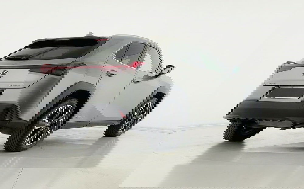 Lexus UX usata a Perugia (8)