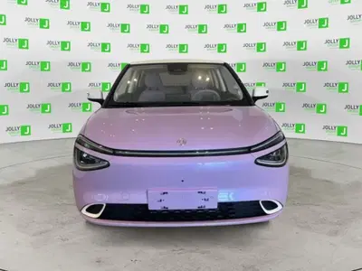 Dongfeng Box  Box 43,9 kWh nuova a Sora