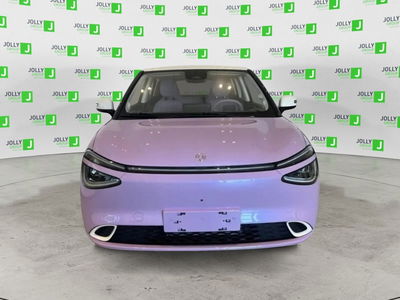 Dongfeng Box Box 43,9 kWh nuova a Sora