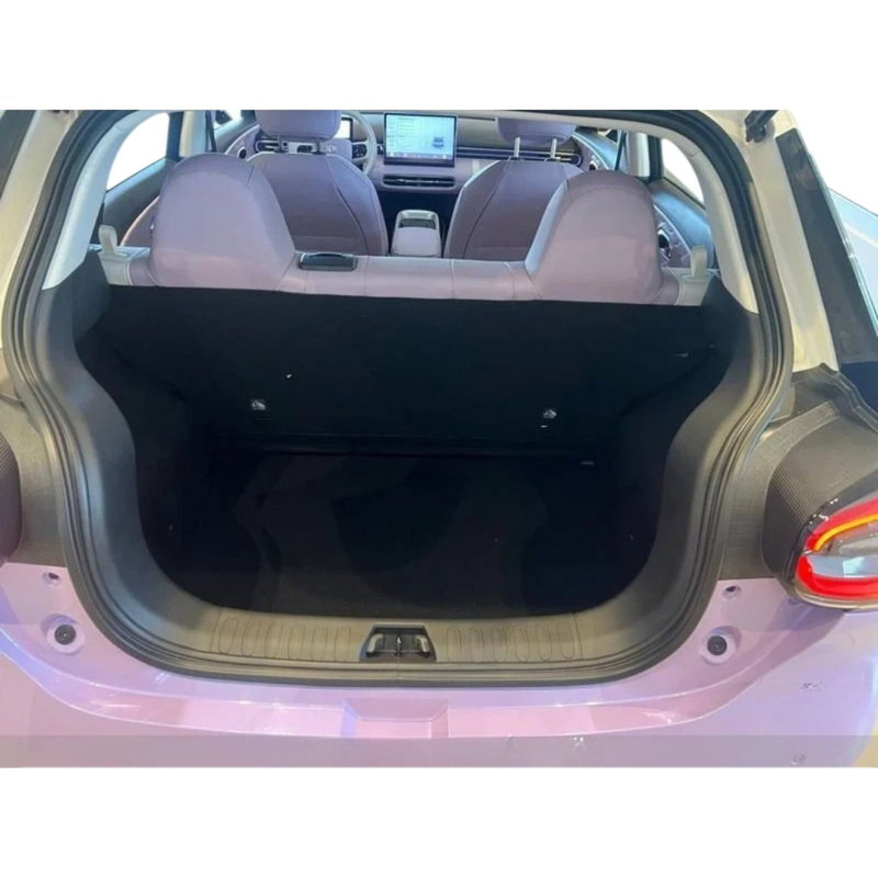 Dongfeng Box  nuova a Frosinone (9)