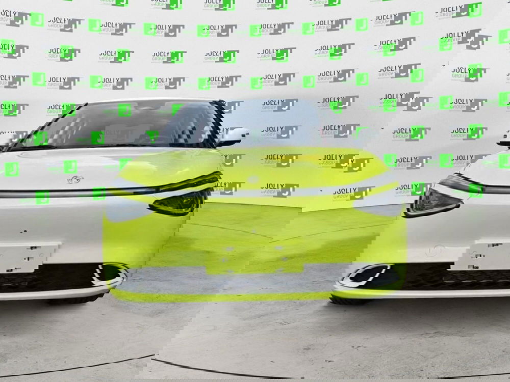 Dongfeng Box nuova a Frosinone (14)