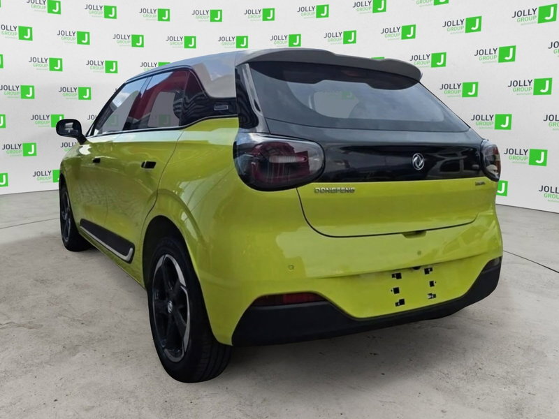 Dongfeng Box  nuova a Frosinone (2)