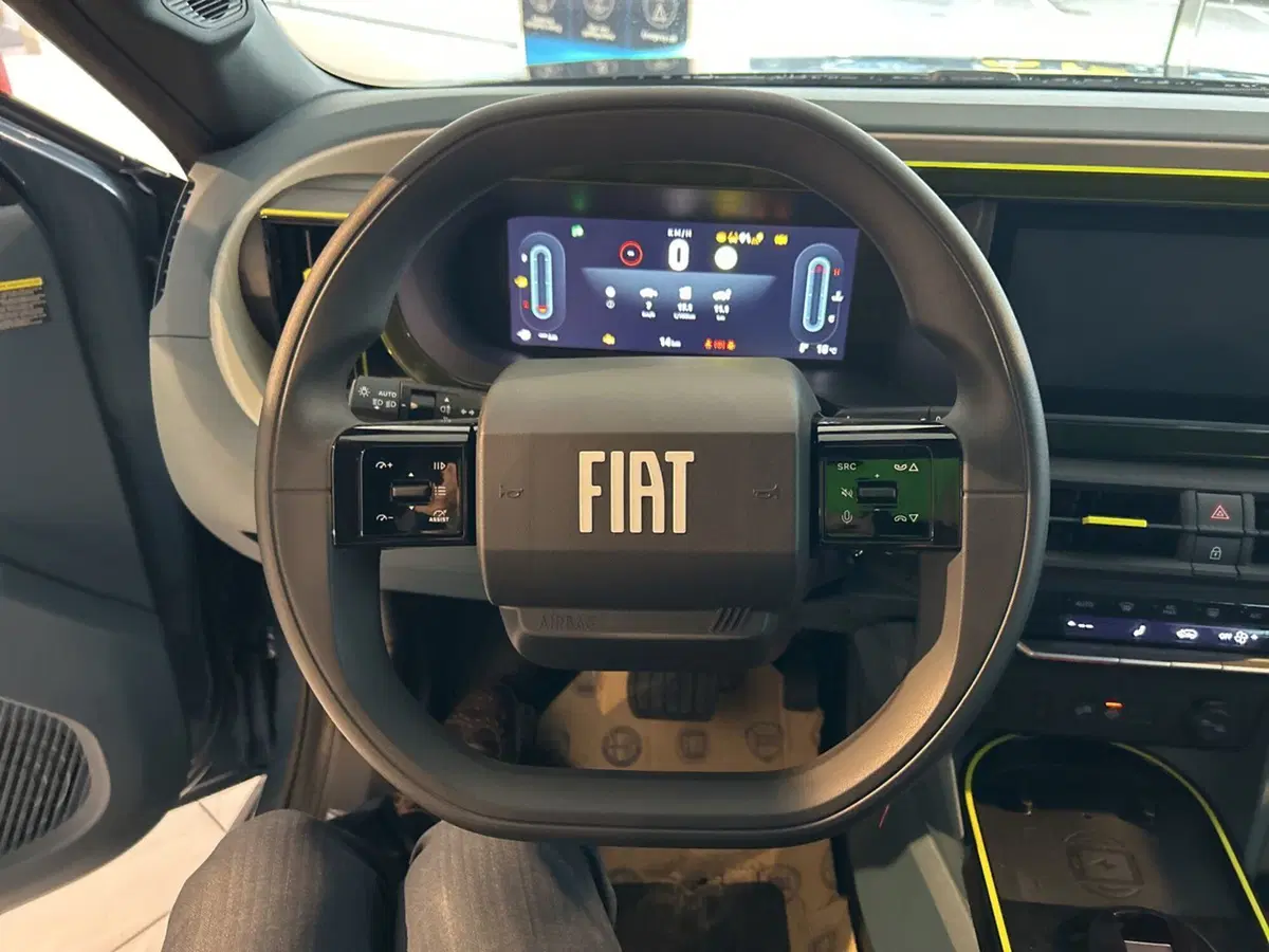 Fiat Grande Panda nuova a Bergamo (12)