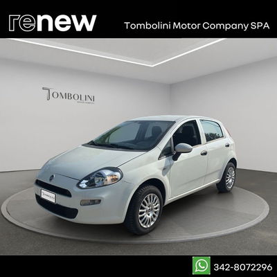 Fiat Punto 1.4 8V 5 porte Natural Power Street del 2017 usata a Civitanova Marche
