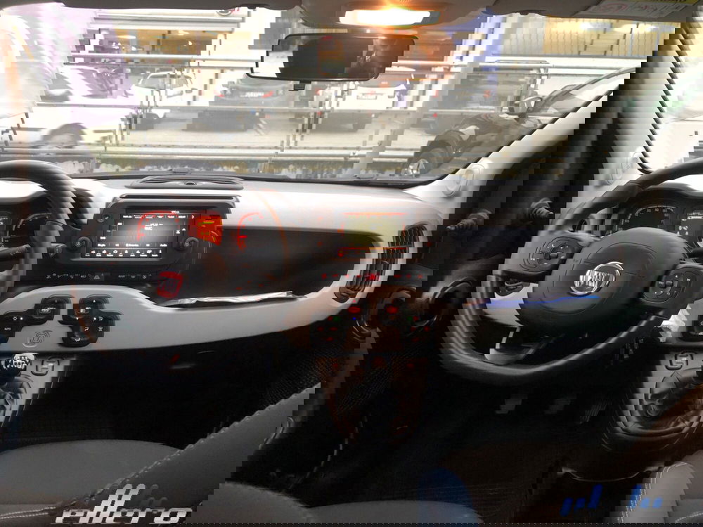 Fiat Panda Cross nuova a Cuneo (12)