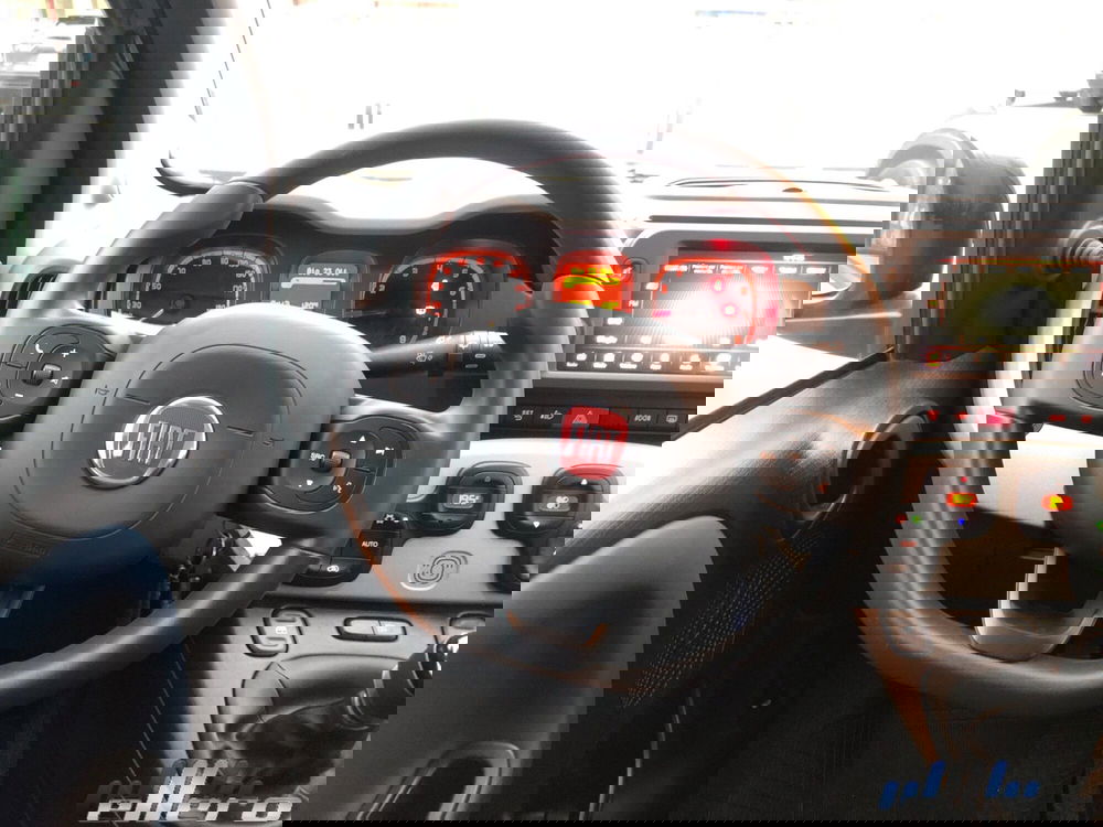 Fiat Panda Cross nuova a Cuneo (13)