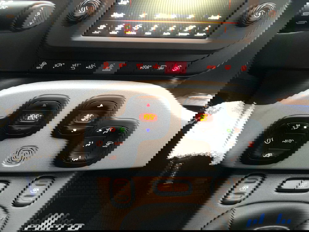 Fiat Panda Cross nuova a Cuneo (16)