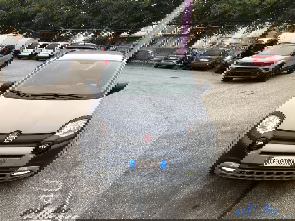 Fiat Panda Cross nuova a Cuneo (2)