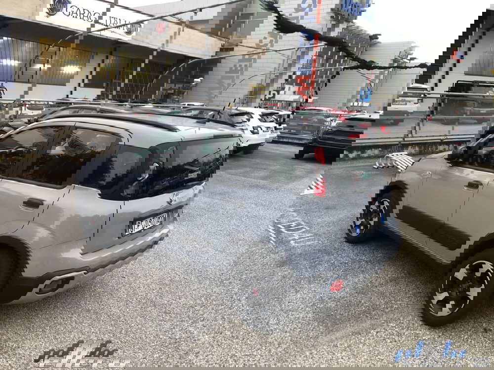 Fiat Panda Cross nuova a Cuneo (7)