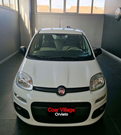 Fiat Panda 1.2 EasyPower Lounge del 2016 usata a Orvieto