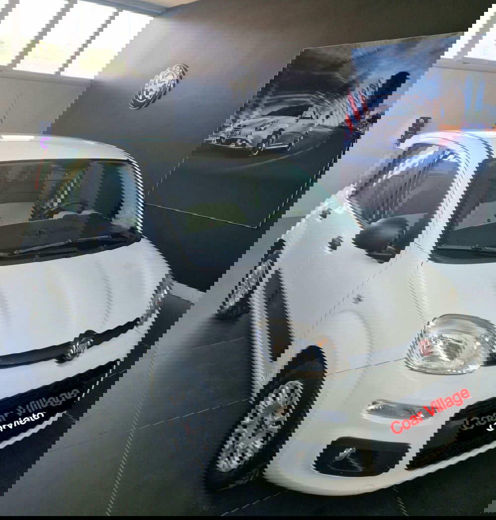 Fiat Panda usata a Terni (2)