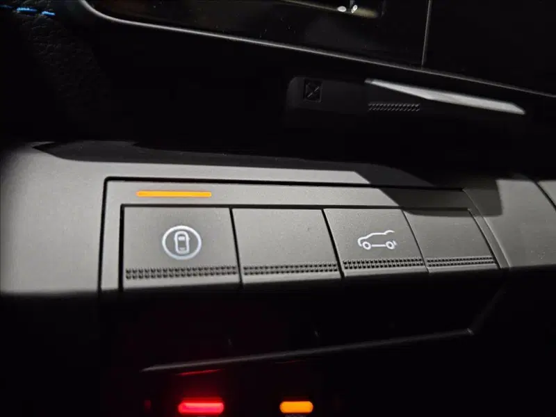 Renault Scenic E-Tech Electric usata a Palermo (19)