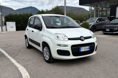 Fiat Panda 1.2 Easy del 2016 usata a Fondi