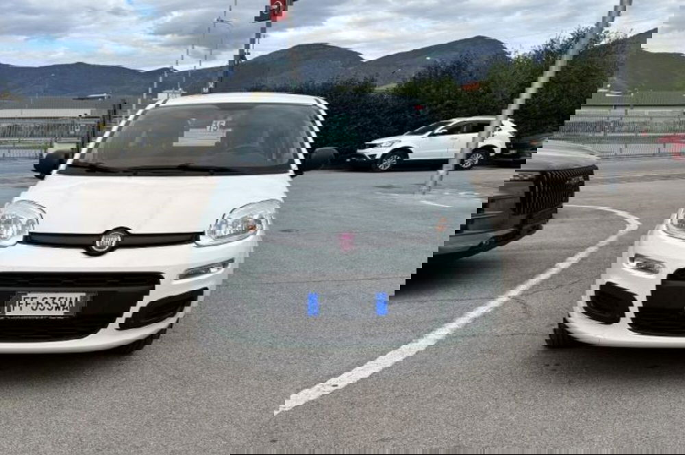 Fiat Panda usata a Latina (2)