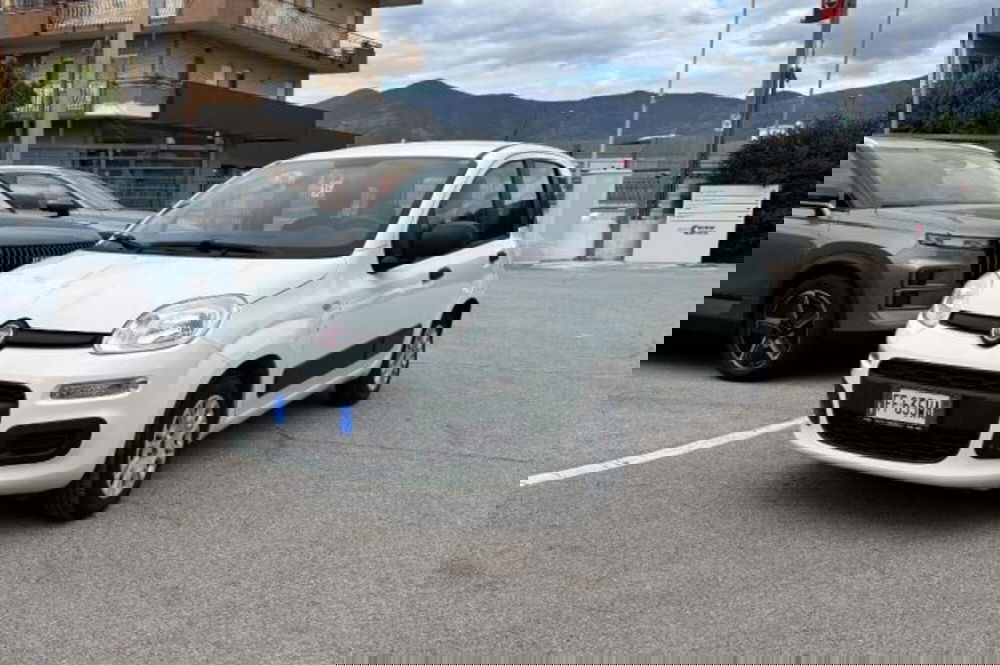 Fiat Panda usata a Latina (3)