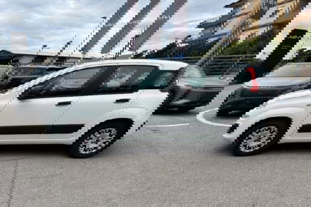Fiat Panda usata a Latina (4)