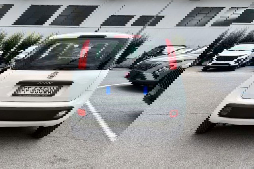 Fiat Panda usata a Latina (6)