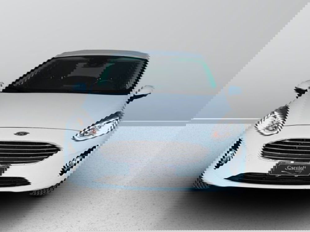 Ford Fiesta usata a Teramo (2)