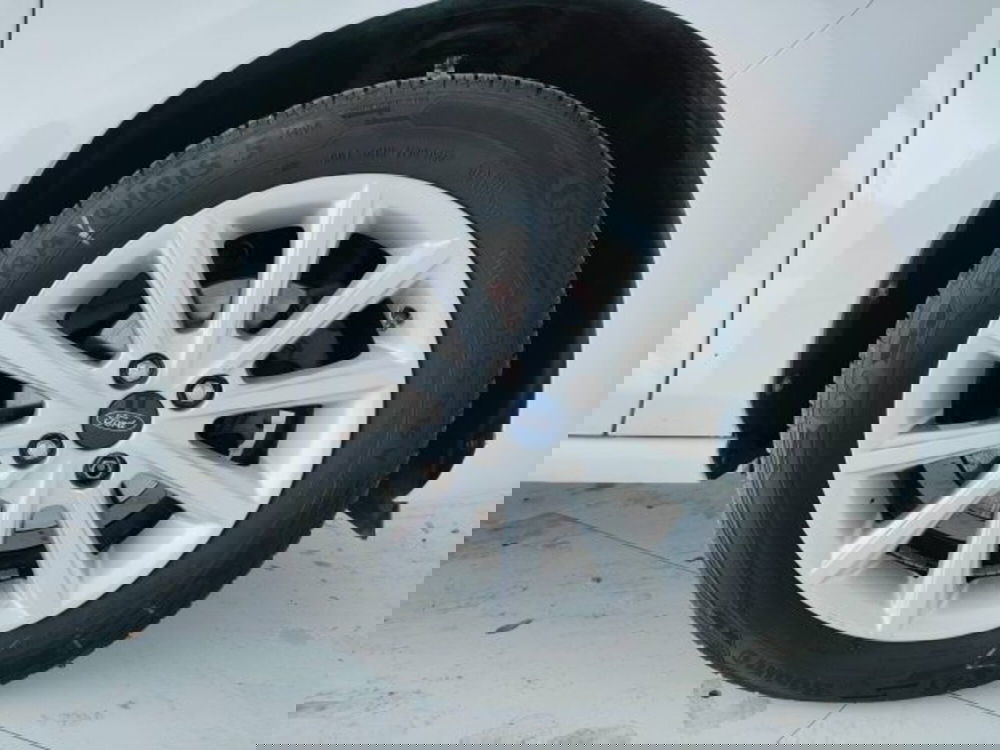 Ford Fiesta usata a Teramo (8)