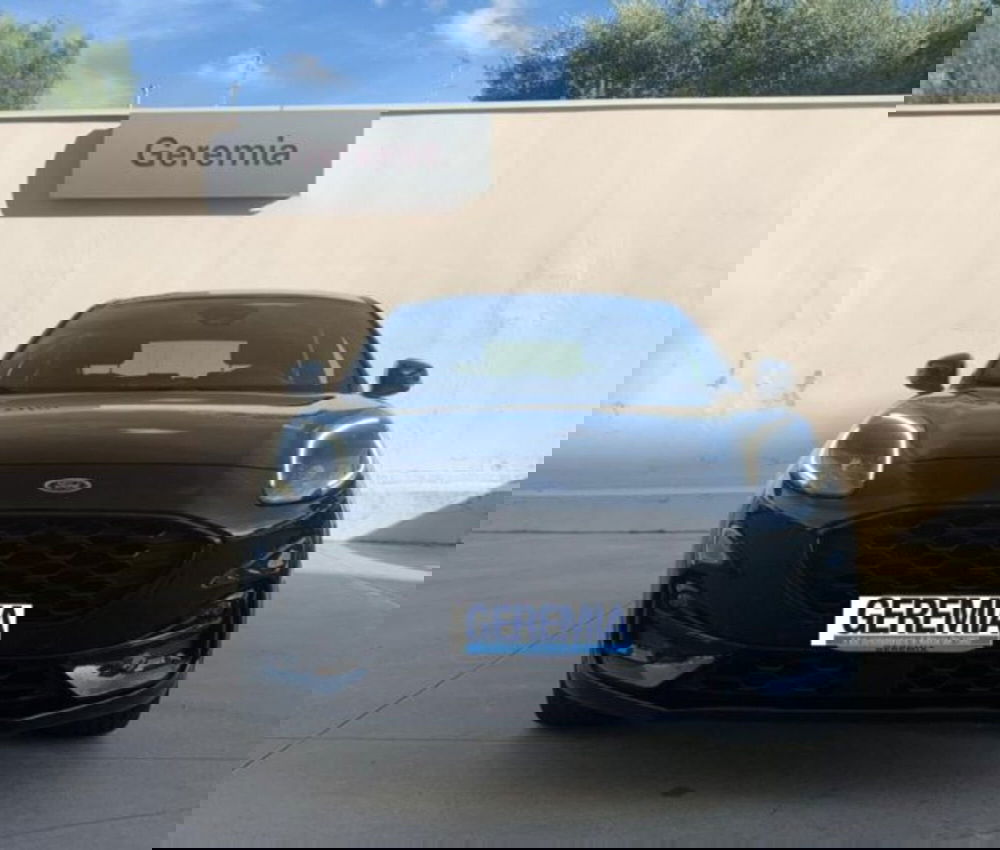 Ford Puma usata a Reggio Calabria