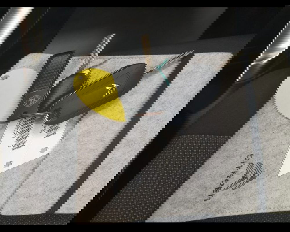 Citroen C3 Aircross usata a Alessandria (8)