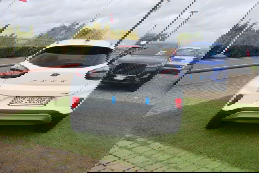 Ford Puma usata a Roma (5)