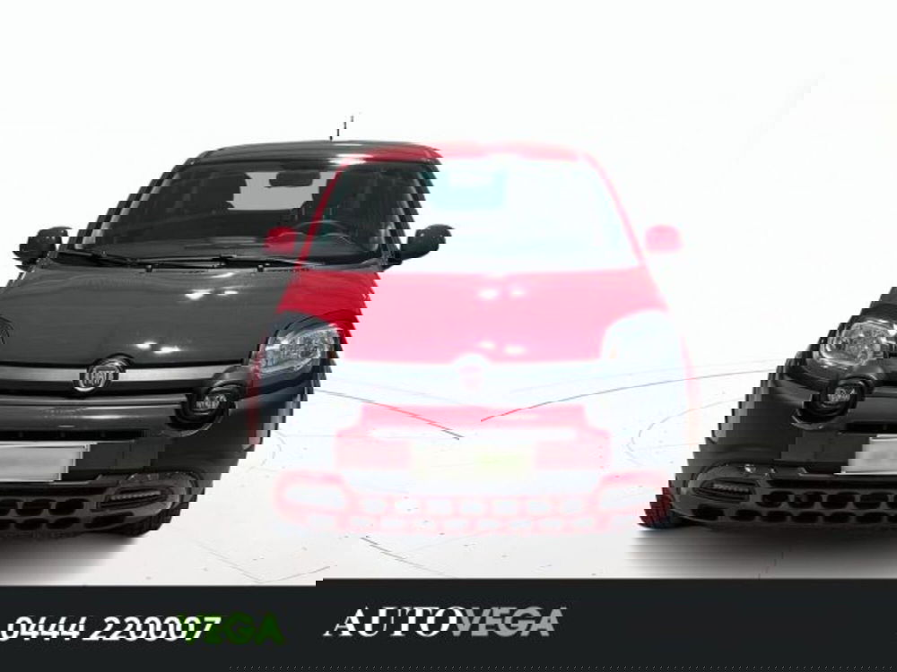 Fiat Panda Cross usata a Vicenza (2)
