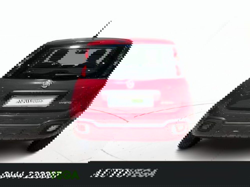 Fiat Panda Cross usata a Vicenza (5)