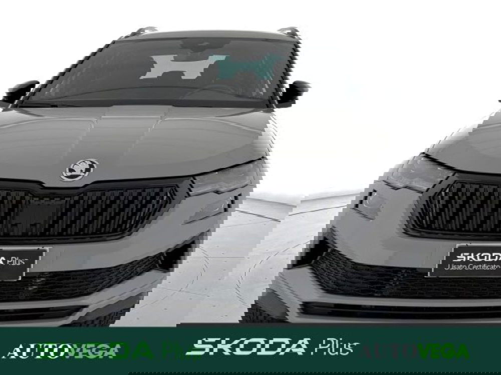 Skoda Karoq usata a Vicenza (2)