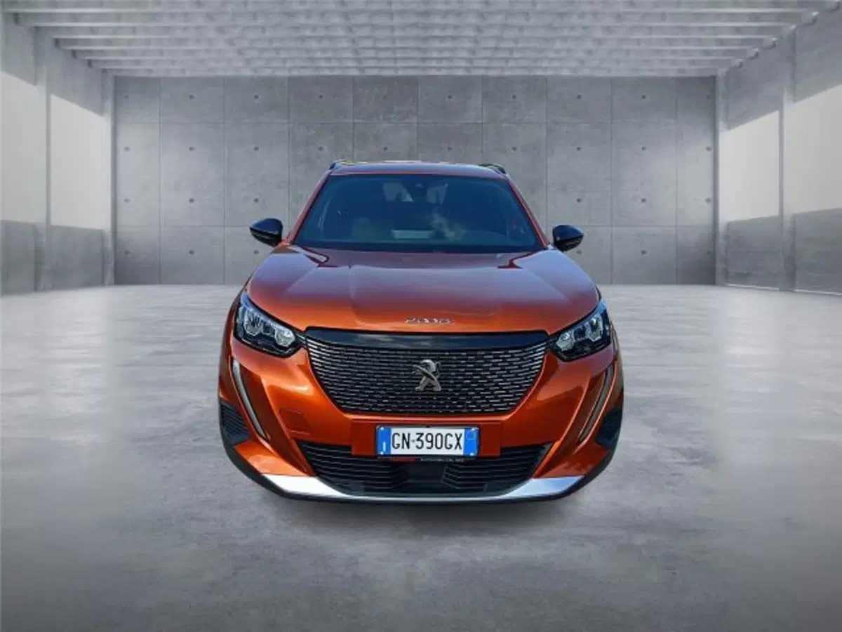 Peugeot 2008 usata a Bari (2)