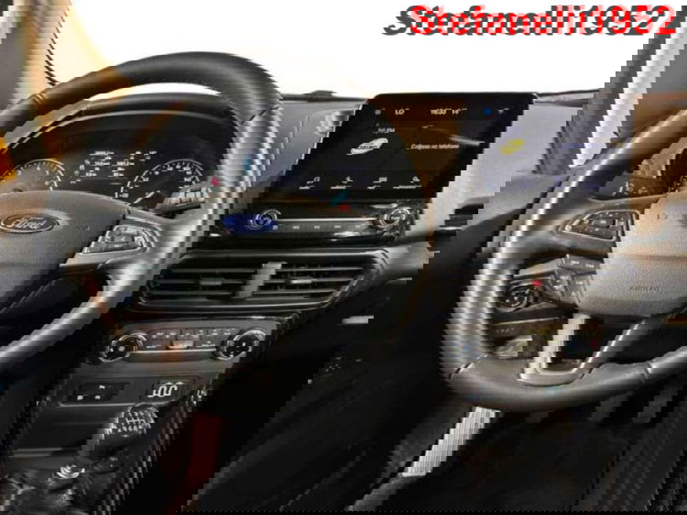 Ford EcoSport usata a Bologna (14)