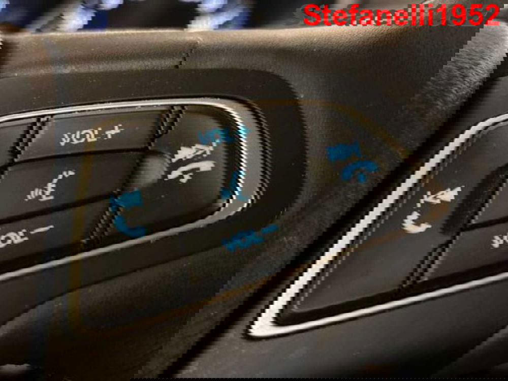 Ford EcoSport usata a Bologna (19)