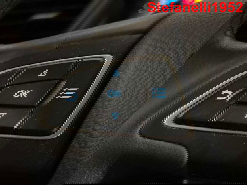 Ford EcoSport usata a Bologna (20)