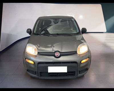 Fiat Panda 1.0 firefly hybrid s&amp;s 70cv 5p.ti del 2022 usata a Torino